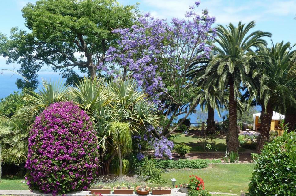 Finca Casa Vieja Hotel Santa Úrsula Eksteriør billede