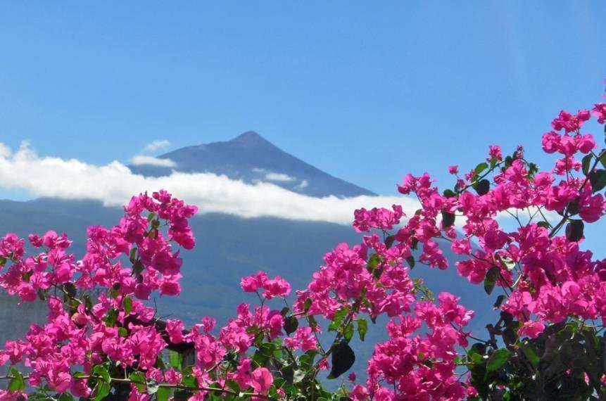 Finca Casa Vieja Hotel Santa Úrsula Eksteriør billede